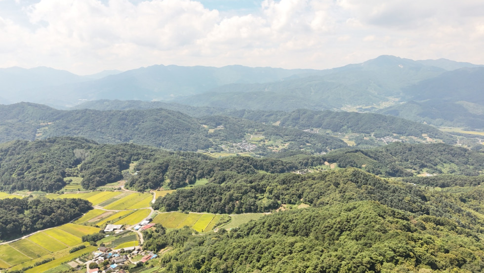 DJI_20260913125207_0870_D.JPG