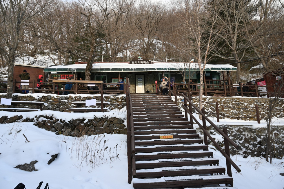 DSC_0623.JPG