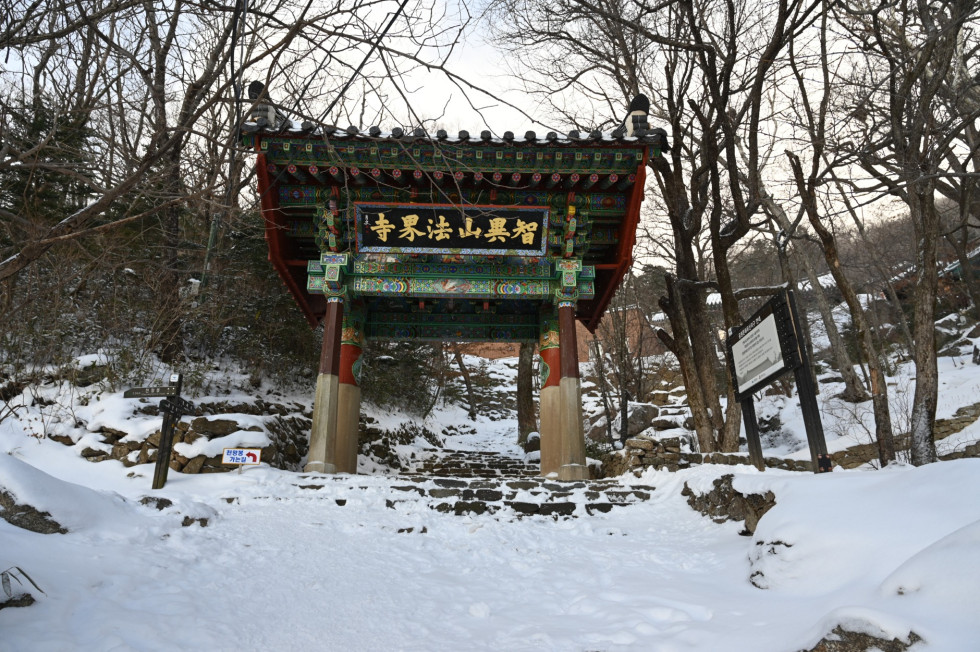 DSC_0653.JPG