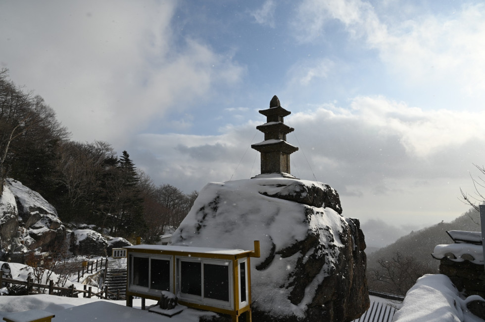 DSC_0697.JPG