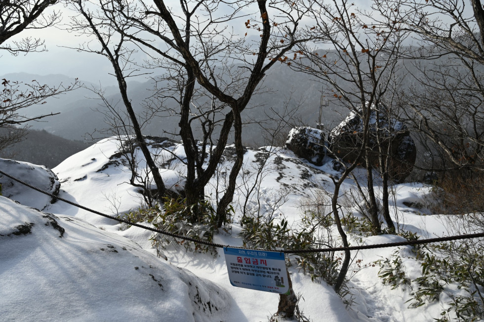 DSC_0801.JPG