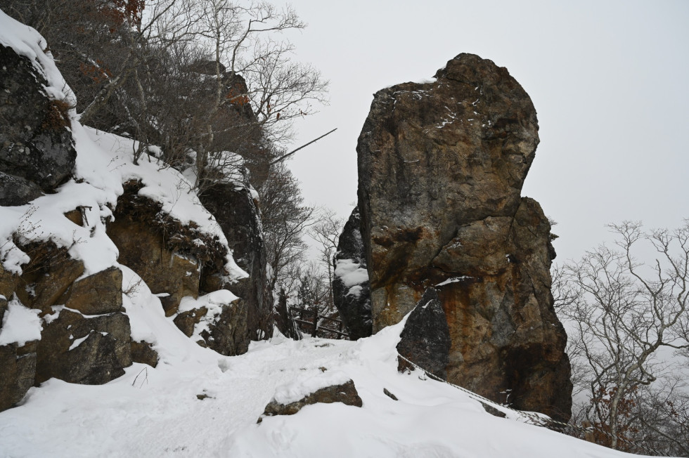 DSC_0888.JPG