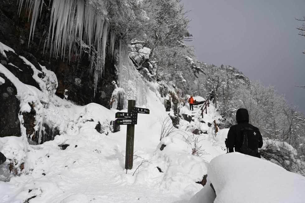 DSC_1057.JPG