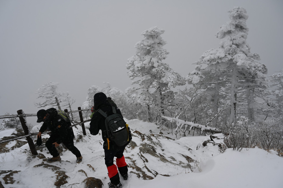 DSC_1358.JPG