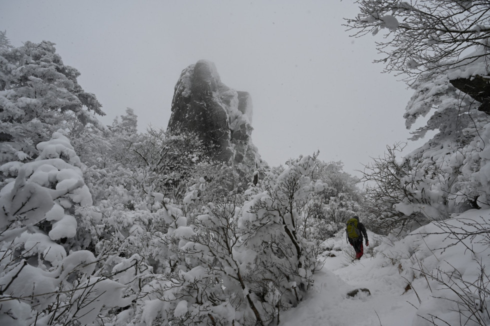 DSC_1512.JPG