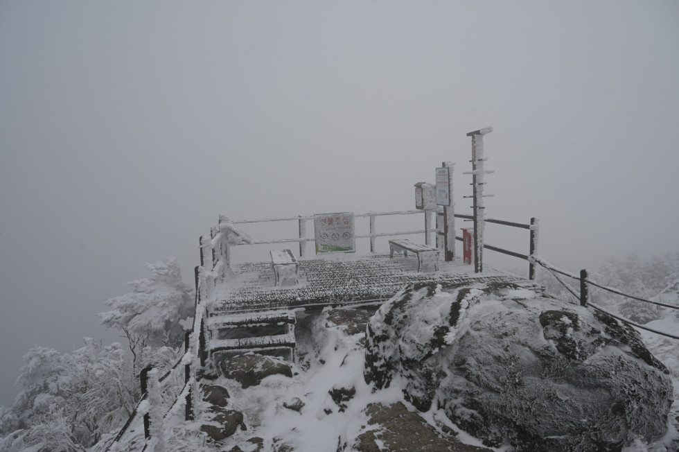 DSC_1574.JPG