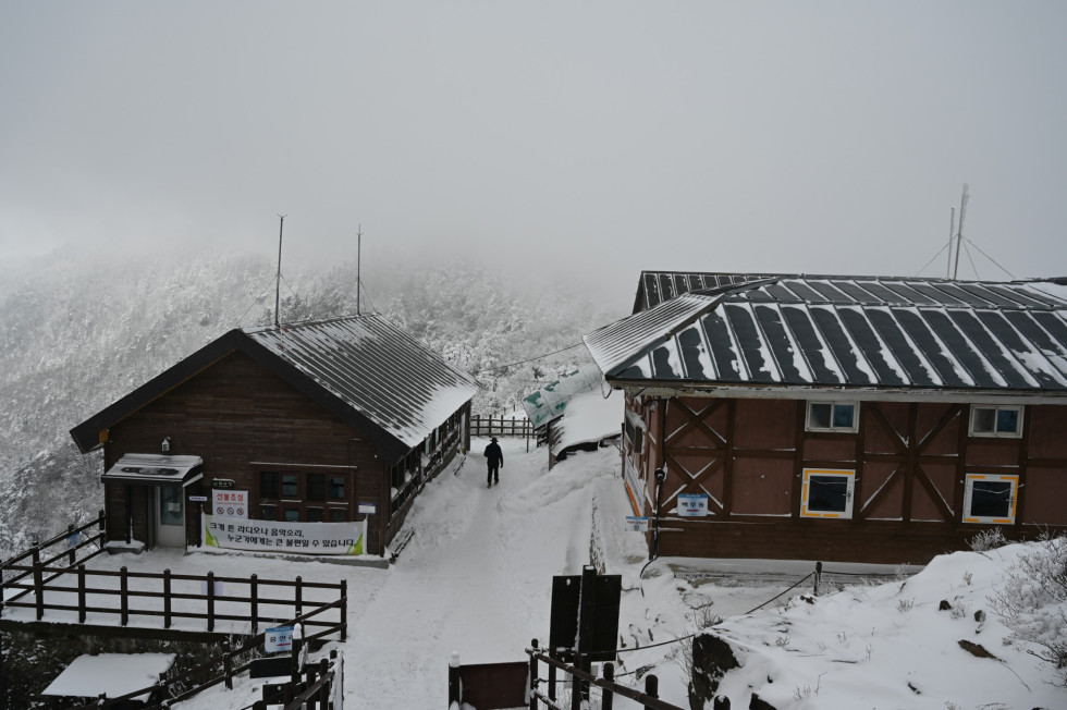 DSC_1643.JPG