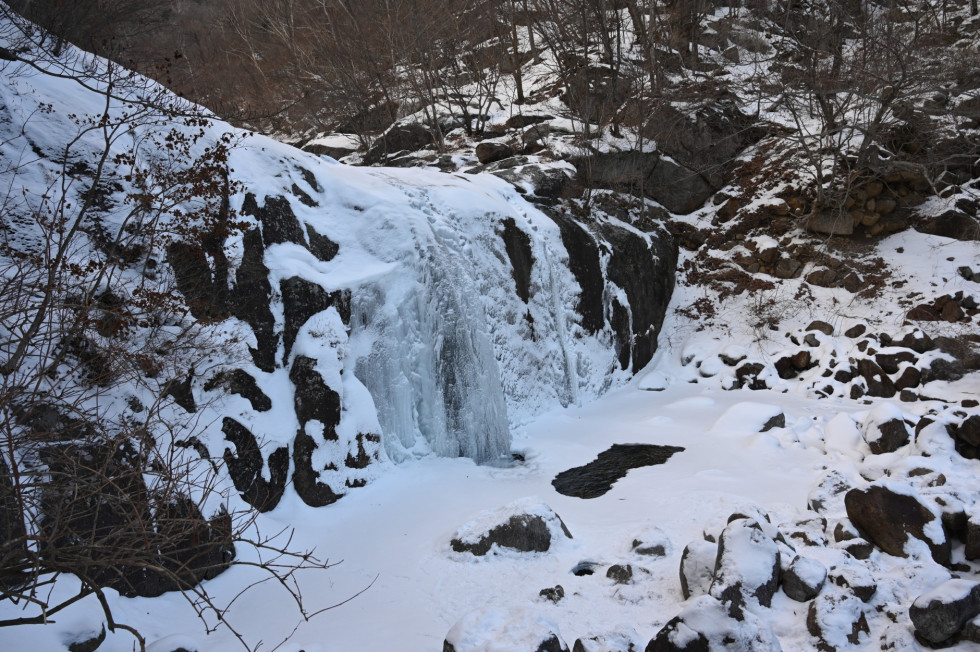 DSC_1729.JPG
