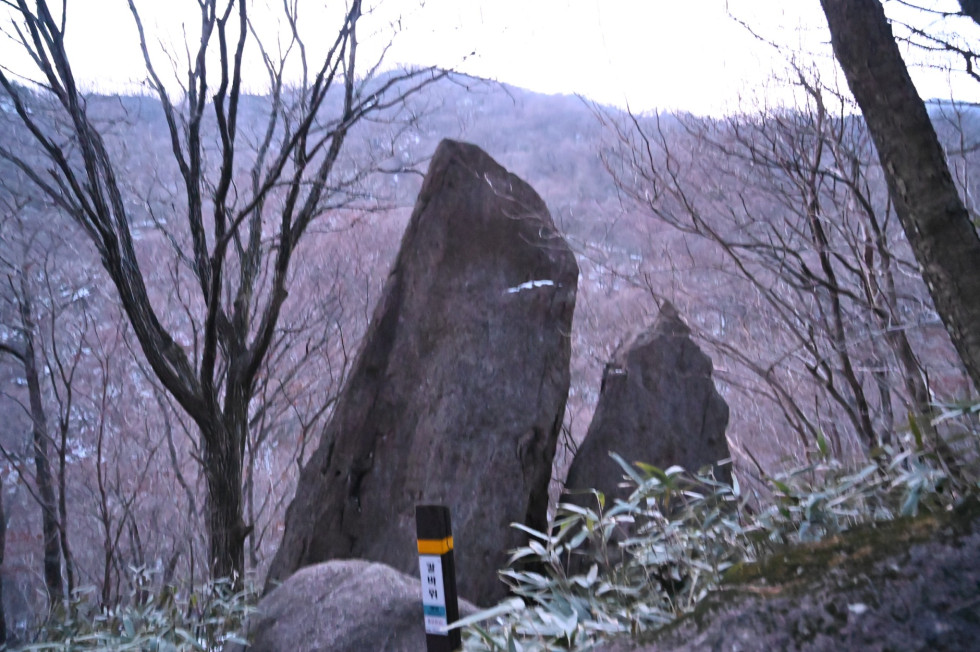 DSC_1816.JPG
