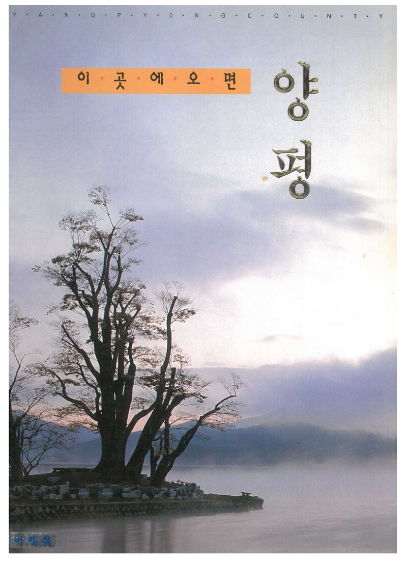 이곳에 오면 양평_남상오_중부기획_1998