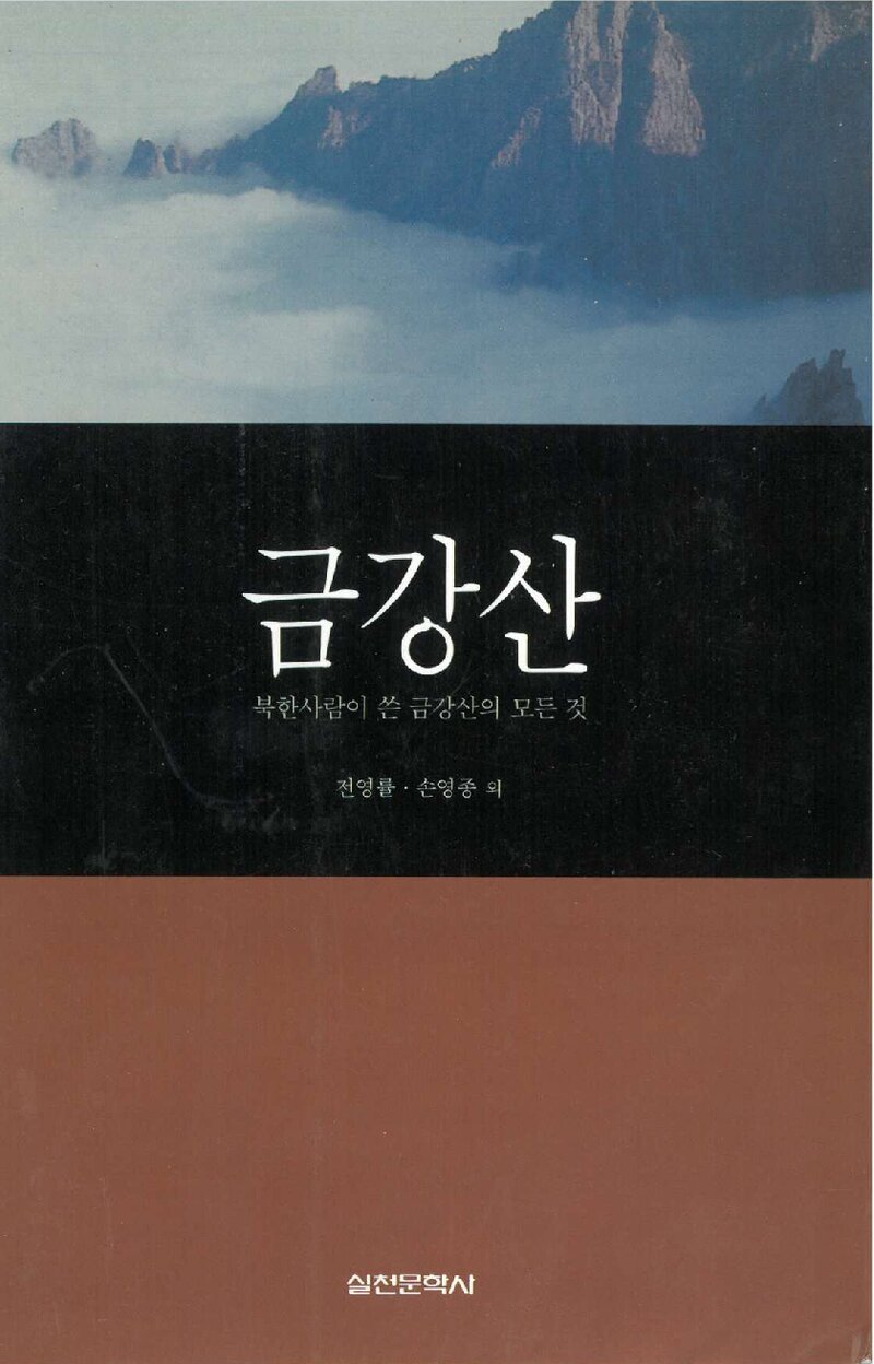금강산_전영률ㆍ손영종 외_실천문학사_1998