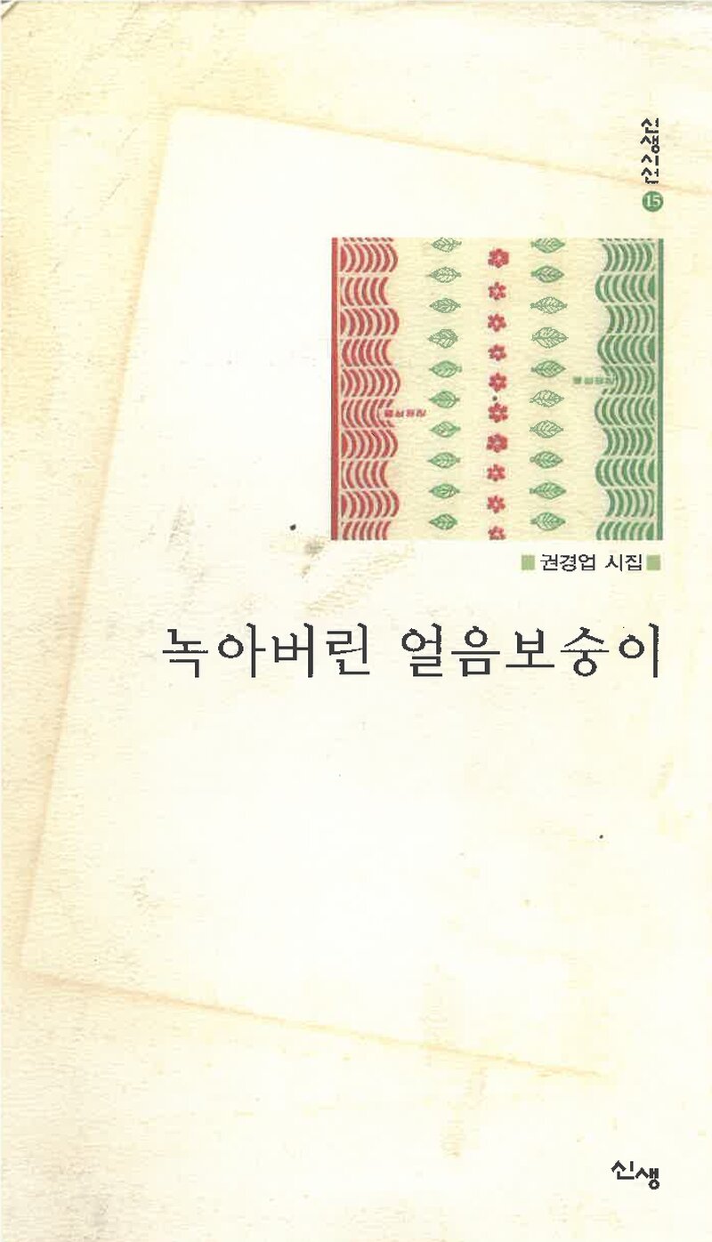 녹아버린 얼음보숭이_권경업_도서출판 신생_2007