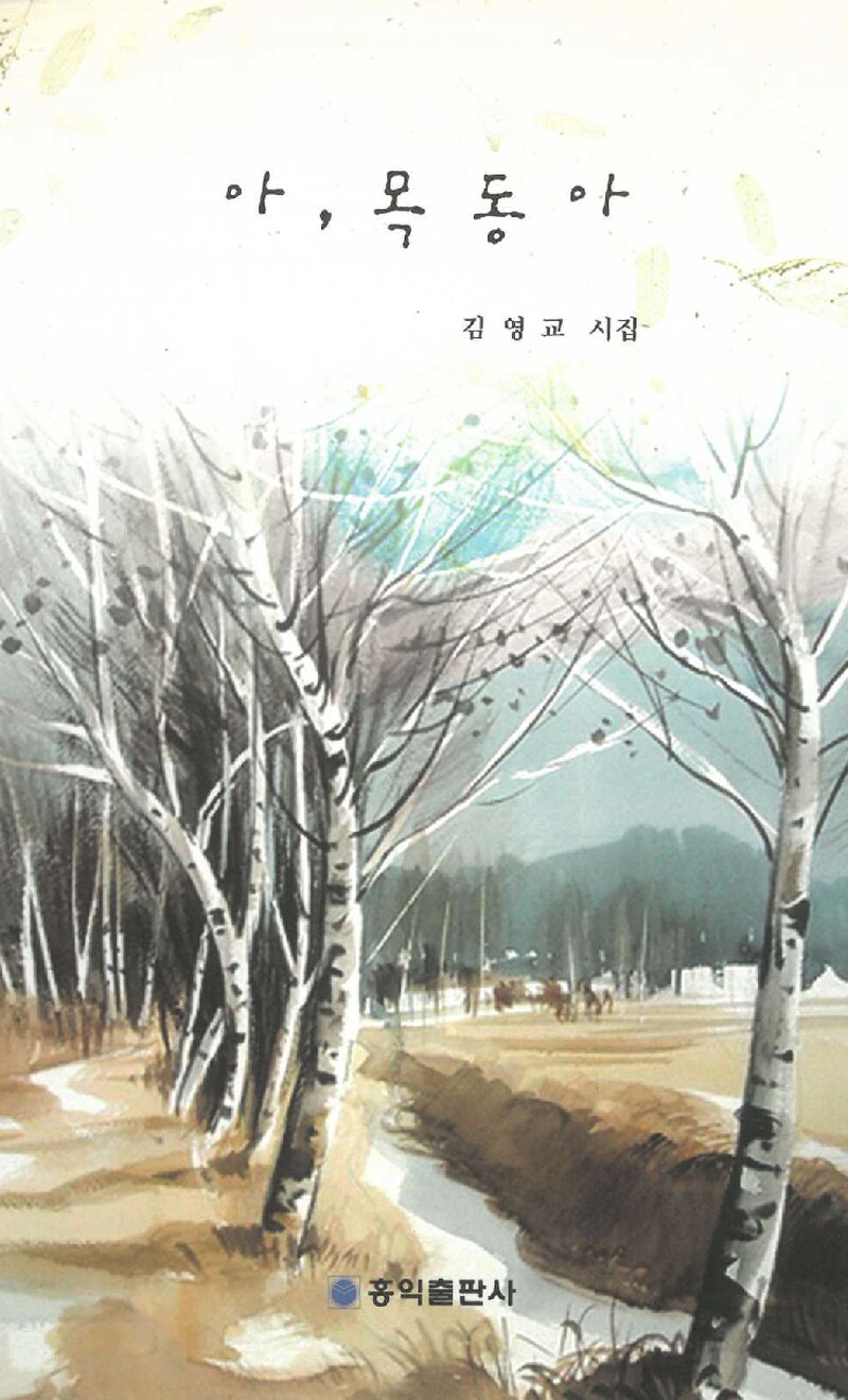 아, 목동아_김영교_홍익출판사_2006