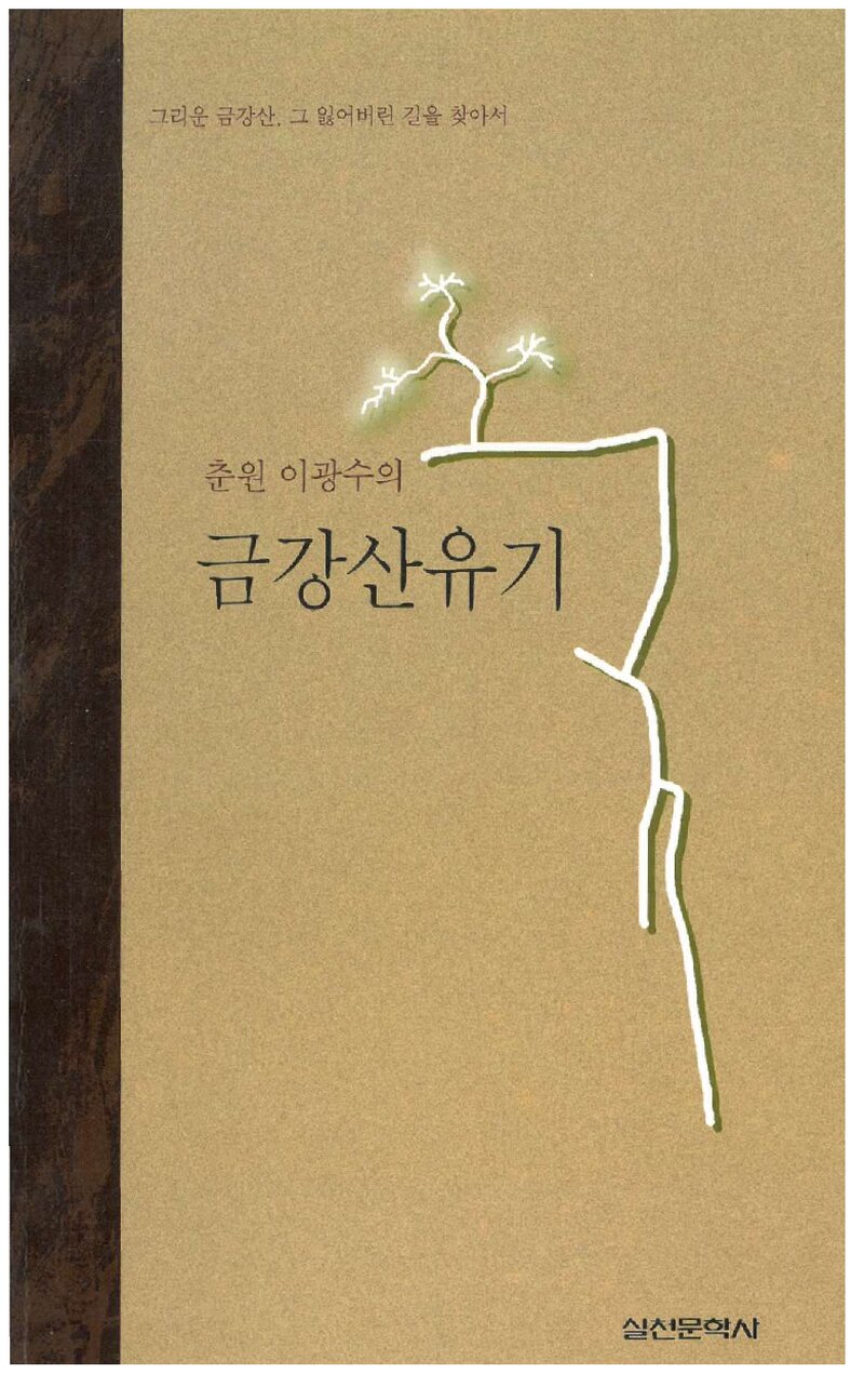 금강산유기_이광수_실천문학_1998