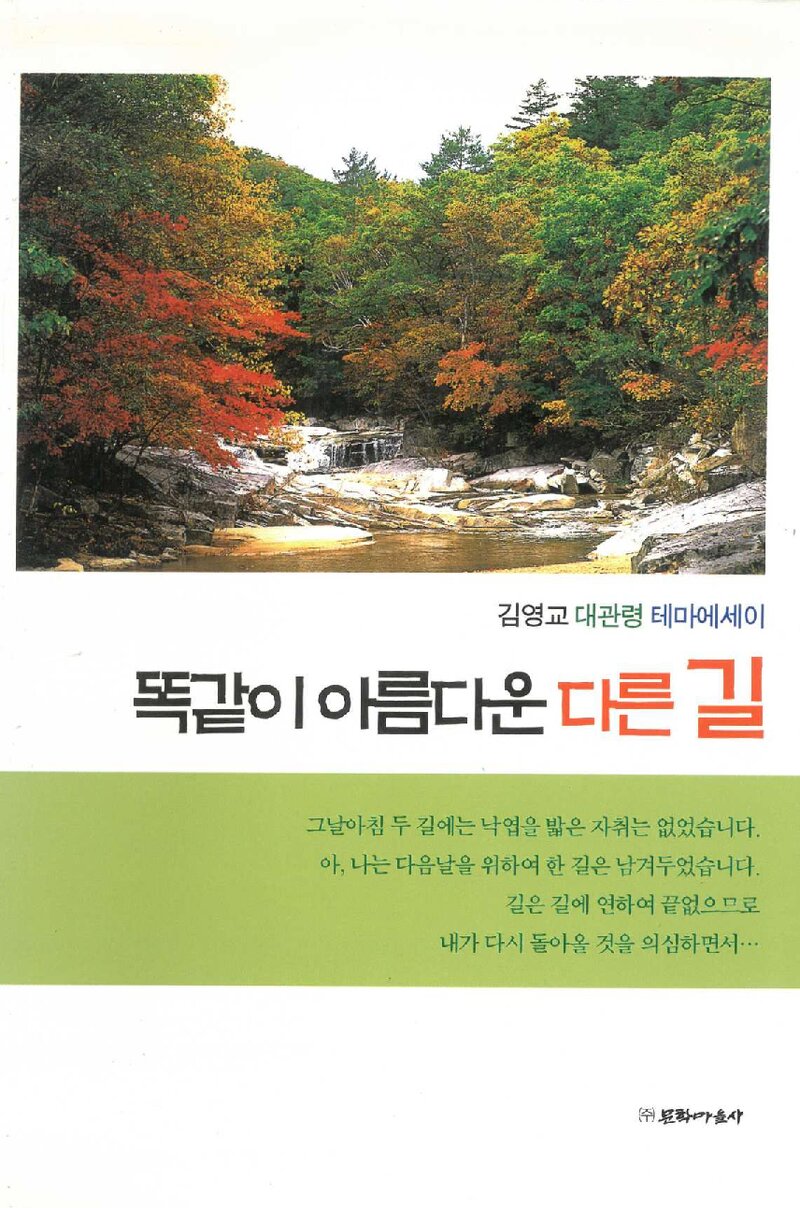 똑같이 아름다운 다른 길_김영교_문학마을사_2009