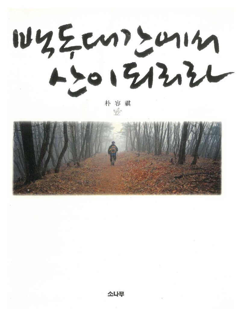 백두대간에서 산이 되리라_박용기_소나무_2006