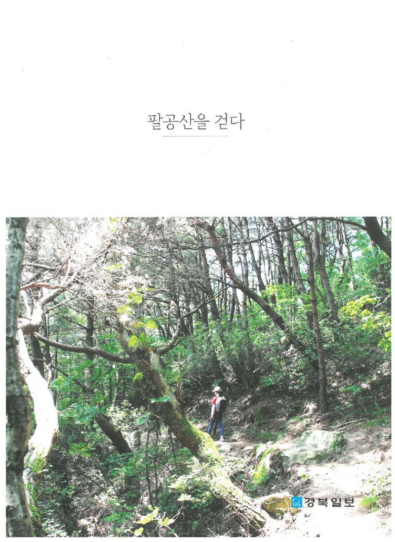 팔공산을 걷다_임수진_경북일보_2021