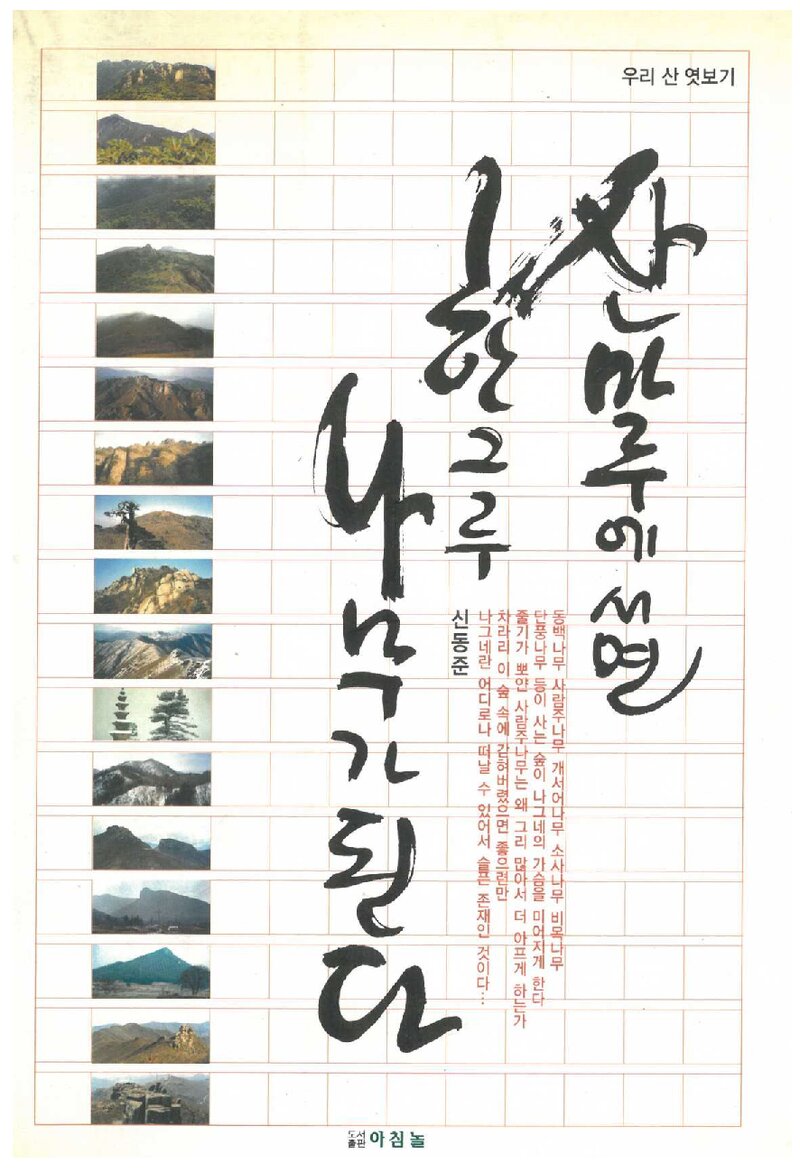 산마루에 서면 한그루 나무가 된다_신동준_도서출판 아침놀_2004