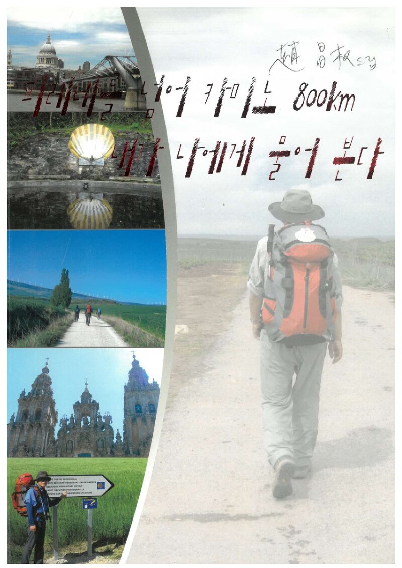 피레네를 넘어 카미노 800km 내가 나에게 물어 본다_박영일_2009