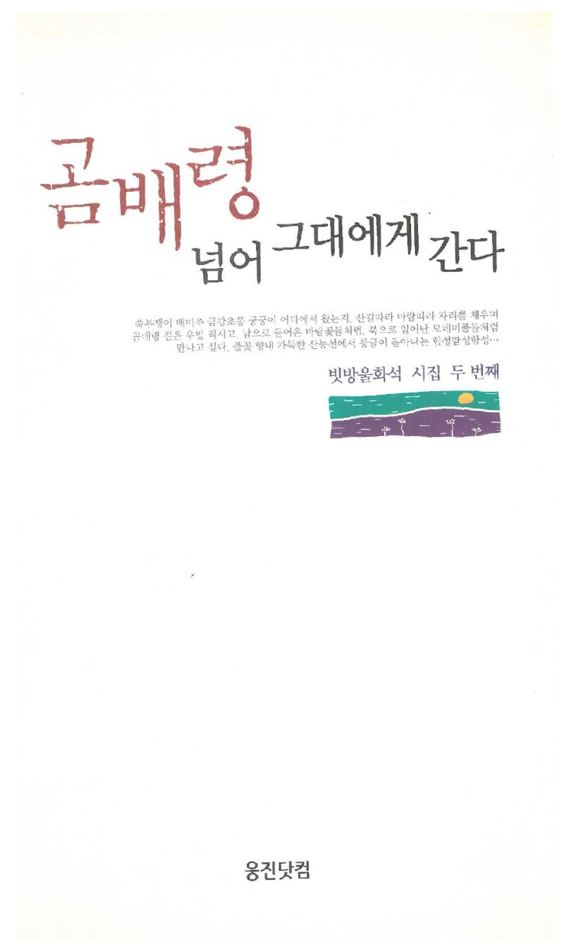 곰배령 넘어 그대에게 간다_빗발웅화석_웅진닷컴_2002