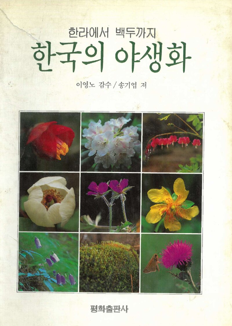 한국의 야생화_송기엽_평화출판사_1992