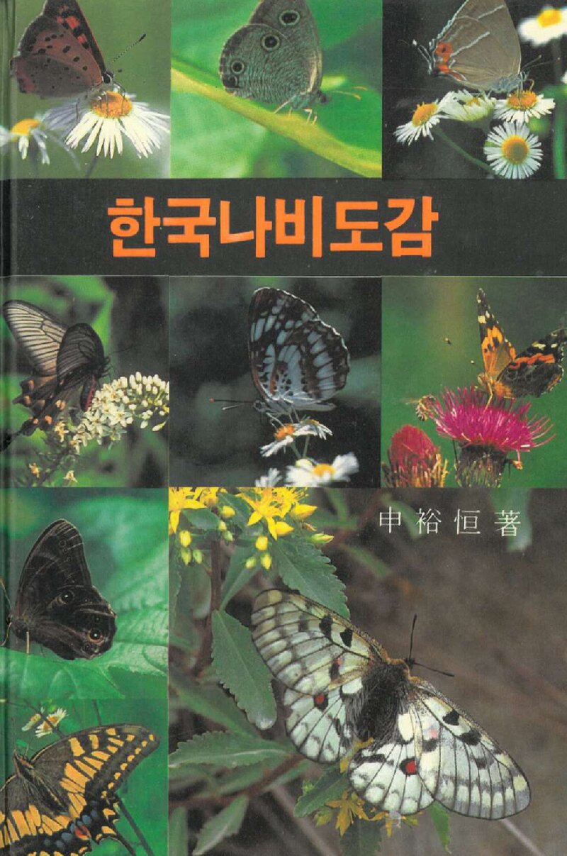 한국나비도감_신유항_아카데미서적_1991