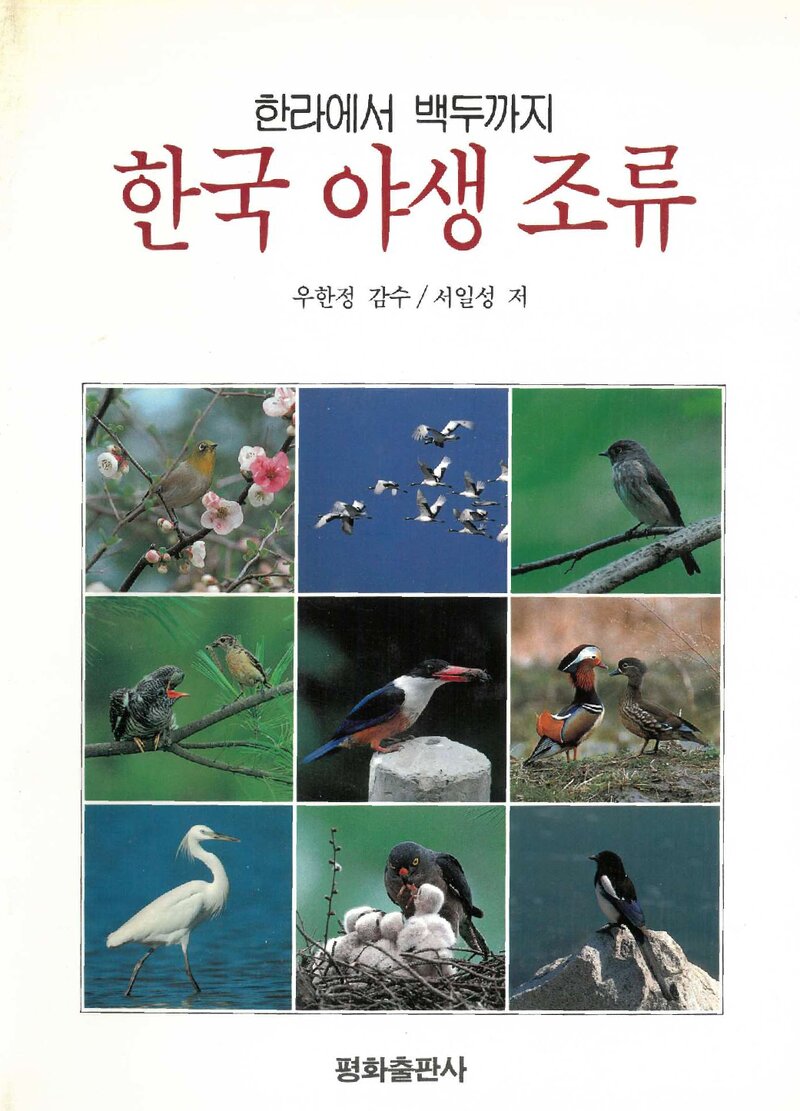한라에서 백두까지 한국 야생 조류_서일성_평화출판사_1993