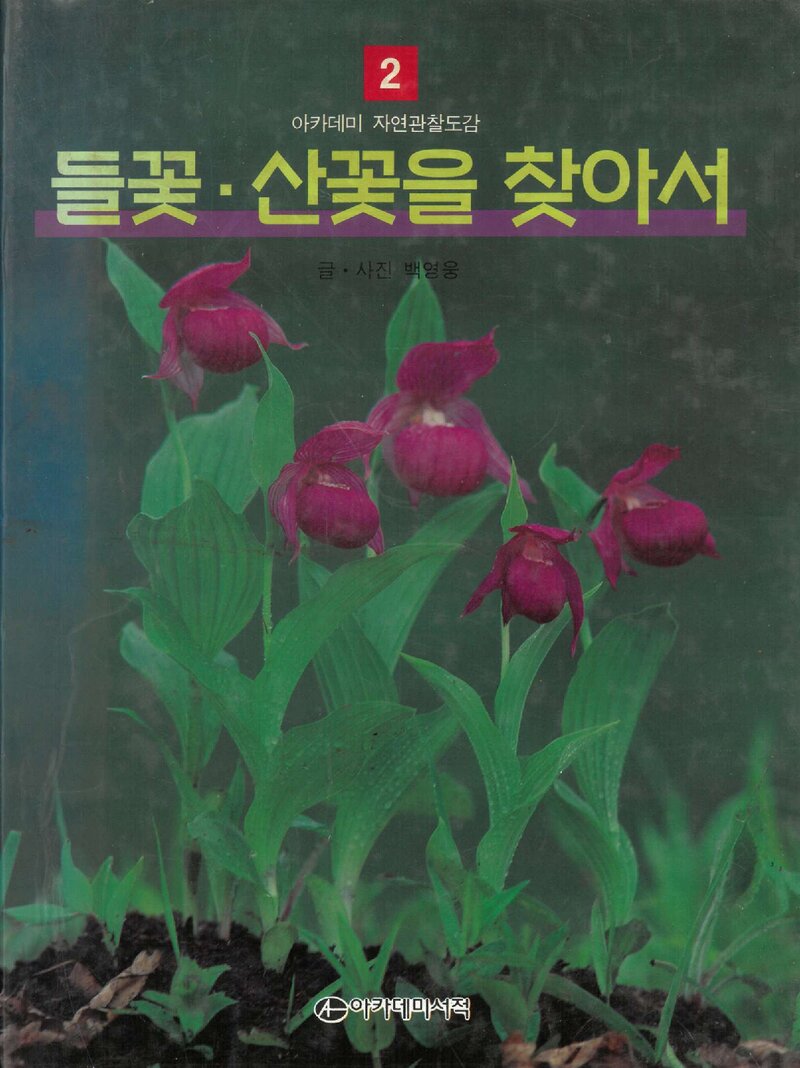 들꽃ㆍ산꽃을 찾아서_백영웅_도서출판 아카데미서적_1995