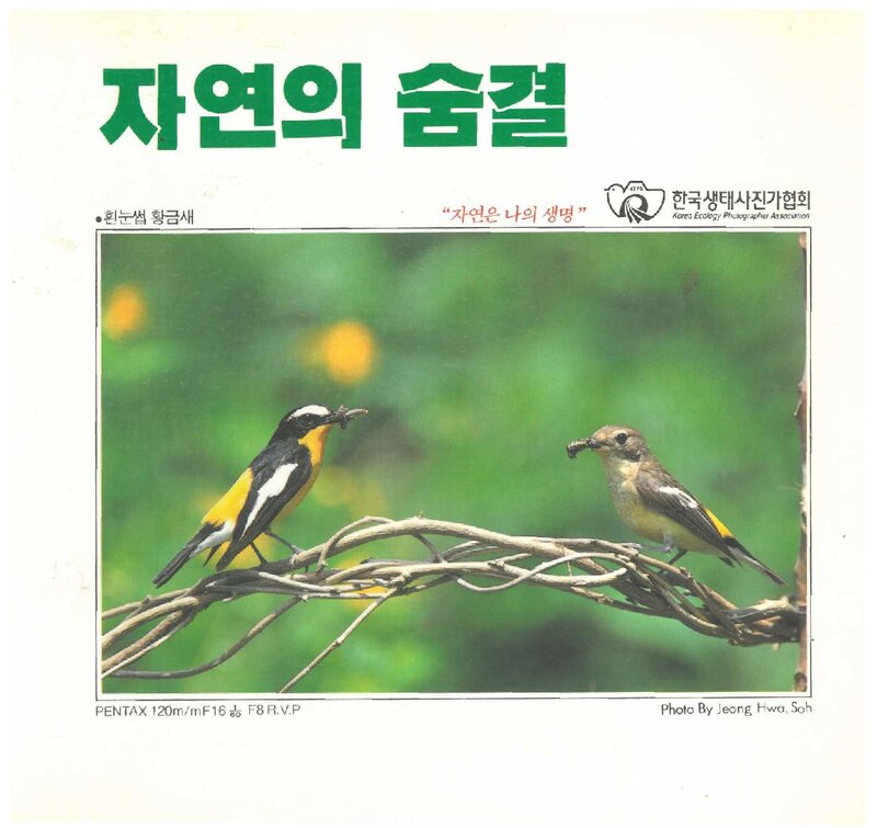 자연의 숨결_한국생태사진가협회_그라피카C.D.C_1991