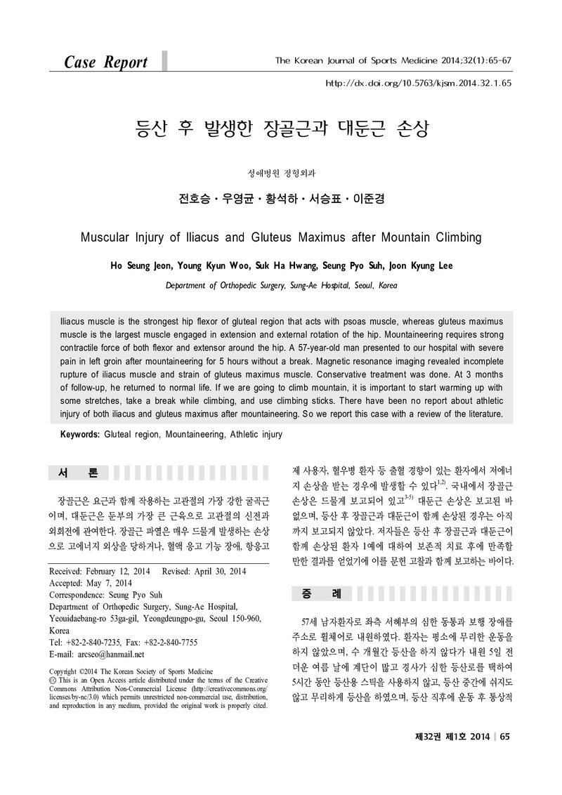 전호승ㆍ우영근ㆍ황석하ㆍ서승표ㆍ이준경_2014_등산 후 발생한 장골근과 대둔근 손상