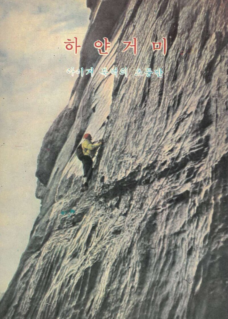 하얀거미_하인리히 하러_이종호_공동문화사_1978