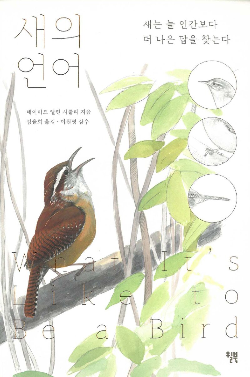 새의 언어_데이비드 앨런 시블리_김율희_윌북_2021
